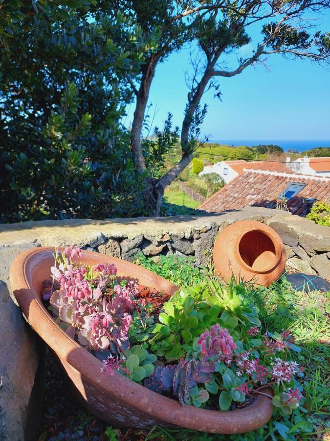 Biscoitos  Casas Do Tarecoヴィラ エクステリア 写真